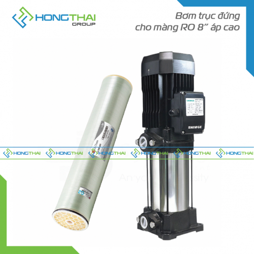 Bơm trục đứng cho màng RO 8