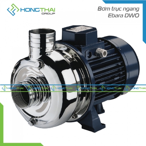 Bơm trục ngang Ebara DWO