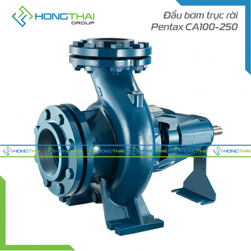 Đầu bơm trục rời Pentax CA100-250