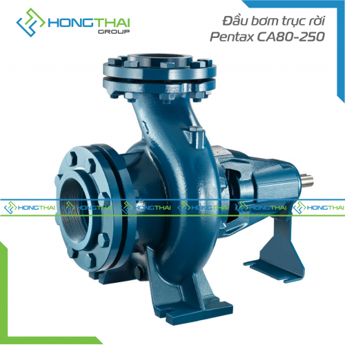 Đầu bơm trục rời Pentax CA80-250