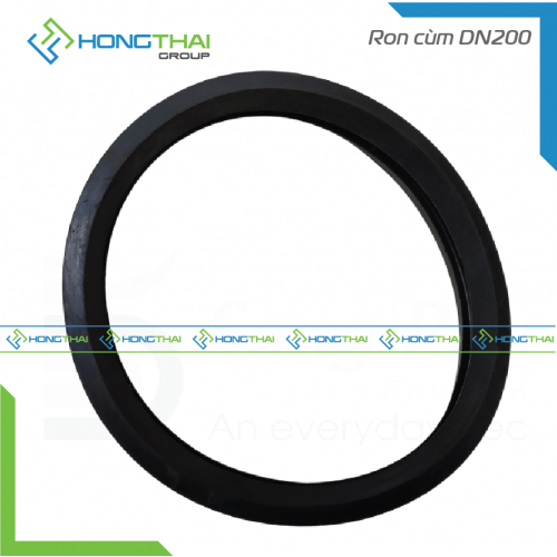 Ron cùm DN200