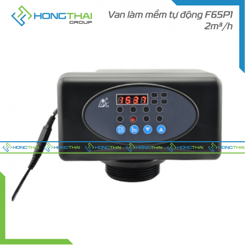  Van làm mềm tự động F65P1 - 2m3/h